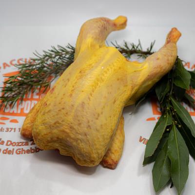 Pollo Nostrano 1400/1500 gr